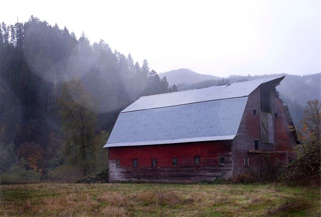 This image features a solitary red barn amidst a misty, woodland setting with mountains in the background. Ideal for use in articles about rural life, serene countryside retreats, farming, nature photography, or tranquil settings. It conveys a peaceful, rustic charm perfect for travel brochures, nature-related blog posts, or promotional material highlighting calm and natural sceneries.