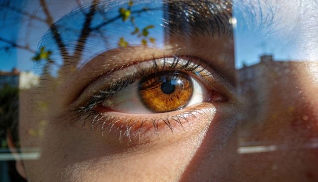 Close-up amber eye reflecting urban skyline and tree branches through glass window