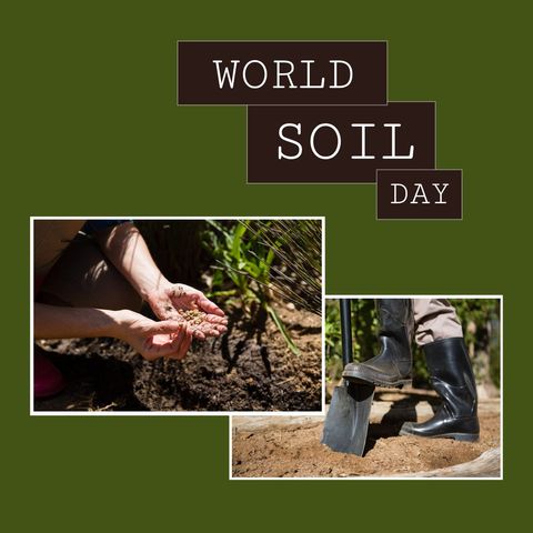 celebrating world soil day with sustainable gardening practices - Download Free Stock Templates Pikwizard.com