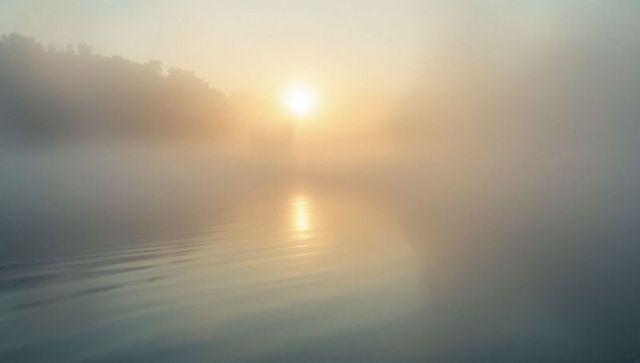 Sunrise Over Misty Lake with Silhouetted Forest