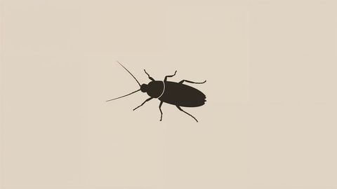 Minimalist cockroach silhouette on beige background