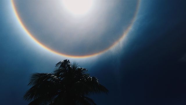 Capturing a spectacular solar halo encircling the bright sun with a palm tree silhouetted against a clear blue sky. Ideal for illustrating weather phenomena, as well as travel, nature, and meteorology concepts in websites, blogs, and educational materials.