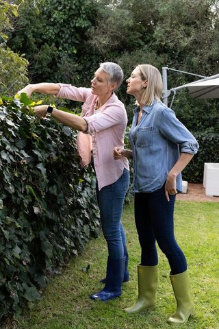 Senior woman and friend trimming backyard hedge together wearing rubber boots and using shears