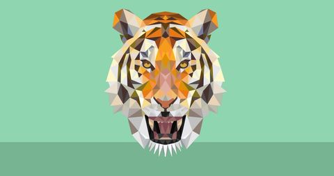 Geometric Tiger Face on Green Background - Download Free Stock Images Pikwizard.com