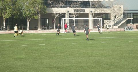 Competitive Soccer Match Highlighting Teamwork and Strategy on Green Field