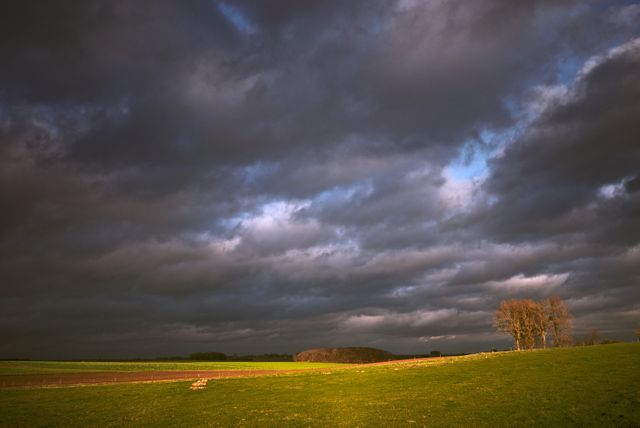 Dark storm clouds loom over a grassy pasture during sunset, creating a dramatic and moody sky. Green fields and scattered trees emphasize the serene yet powerful contrast of the approaching weather. Ideal for use in nature, weather forecasting, environmental awareness, and rural lifestyle themes.
