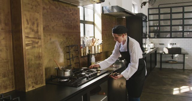 Female Chef Cooking in Professional Commercial Kitchen - Download Free Stock Images Pikwizard.com