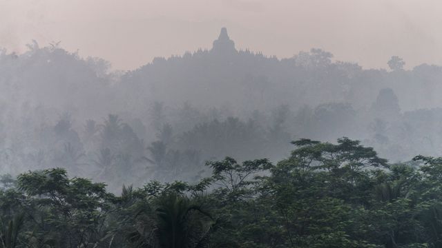 Misty Morning at Ancient Temple Amid Lush Greenery - Download Free Stock Photos Pikwizard.com