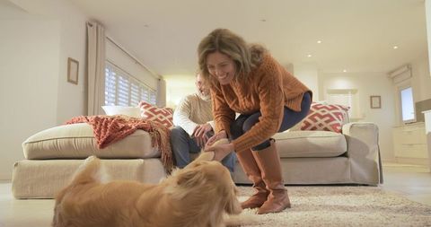 Couple Bonding with Golden Retriever in Cozy Living Room