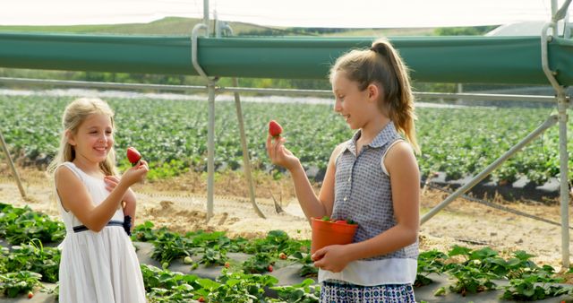 Children harvesting strawberries in a rural outdoor farm on a sunny day. Ideal for concepts related to farming, healthy living, summer activities for children, and outdoor family fun. Perfect for lifestyle, agriculture, or healthy eating content.