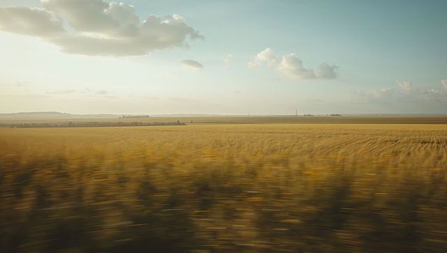 Swaying Golden Wheat Field Stretching to Horizon Under Soft Cloudy Sky, Rural Farmland at Golden Hou