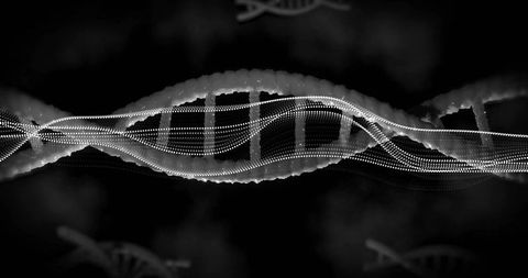 Monochrome dna double helix composed of dotted waveforms for futuristic science design