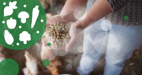 Woman feeding chickens in poultry farm with vegetable graphics