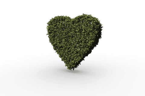 transparent green heart made of lush leaves - Download Free Stock Videos Pikwizard.com