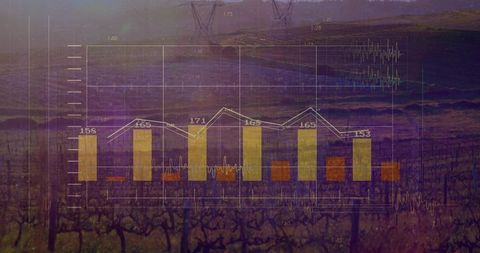 Translucent financial bar chart overlaying vineyard at dusk with trend line and pylons