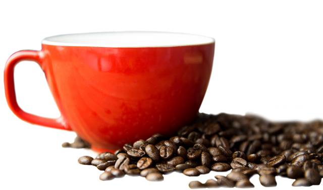 Red Coffee Cup with Coffee Beans on Transparent Background - Download Free Stock Videos Pikwizard.com