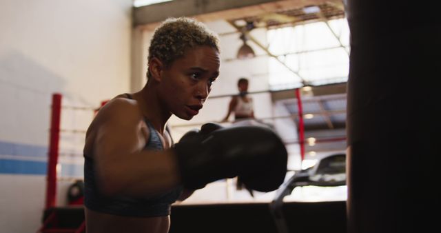 Woman Training in Boxing Gym with Punching Bag - Download Free Stock Images Pikwizard.com