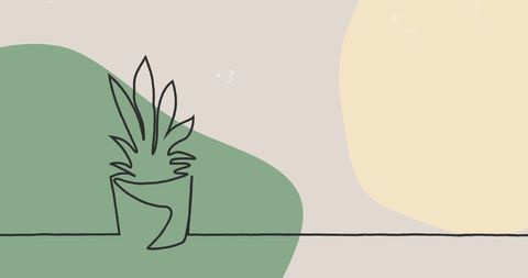 Minimalist plant illustration on geometric pastel background