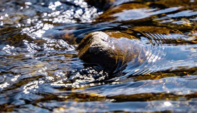 Glittering river rock in shallow stream with rippling water and sunlight reflections