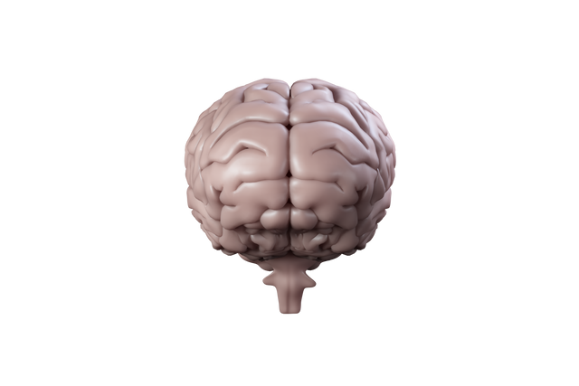 Transparent 3D Vector Illustration of Brain reflecting Knowledge and Intelligence Concept - Download Free Stock Videos Pikwizard.com