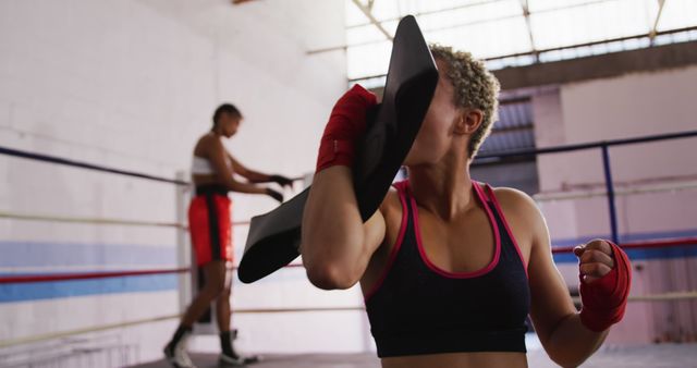 Female Boxer Training with Pad in Gym Ring - Download Free Stock Images Pikwizard.com