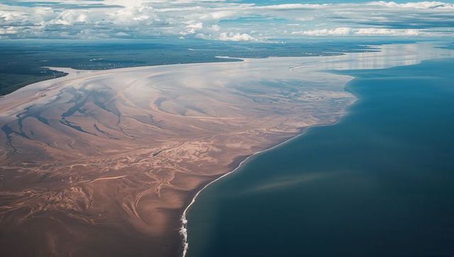 Curving tidal flats revealing braided sandbars and winding estuary channels from above