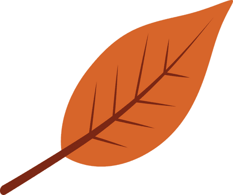 Orange Autumn Leaf with Dark Veins on Transparent Background