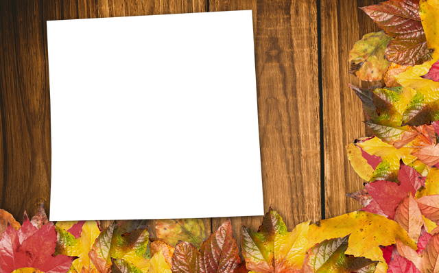 Transparent Square Frame with Autumn Leaves on Wooden Background - Download Free Stock Videos Pikwizard.com