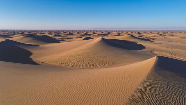 Vast golden sand dune panorama showing wind-sculpted ripples, crested shadows, clear sky