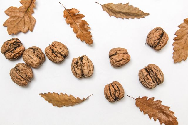 This image captures a collection of walnuts and autumn leaves scattered on a white background. Ideal for seasonal promotions, nature-themed projects, health and nutrition articles, and autumn-related marketing. The neutral background emphasizes the natural textures, making it perfect for educational or decorative purposes.