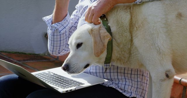 This image captures a man working on a laptop while a large dog gives affection. Ideal for depicting work from home scenarios, pet-friendly environments, technology use outdoors, and human-animal bonding. This could be used in advertisements for remote working tools, pet products, or lifestyle blogs about balancing work and pet care.