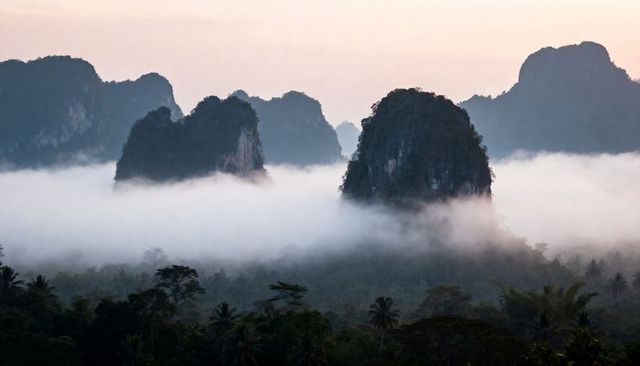 Dawn mist shrouding limestone karst towers rising above tropical palm canopy