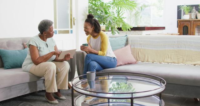 Intergenerational Conversation in Cozy Living Room - Download Free Stock Images Pikwizard.com