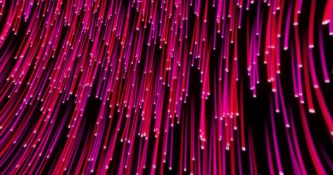 Vibrant Fiber Optic Light Strands against Black Background - Download Free Stock Images Pikwizard.com