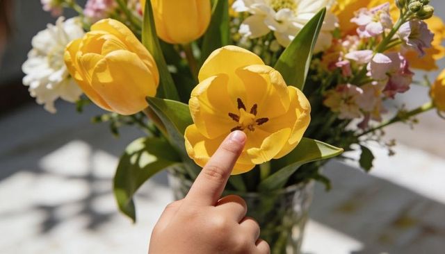 Child touching yellow tulip center with fingertip on sunlit spring bouquet in glass vase