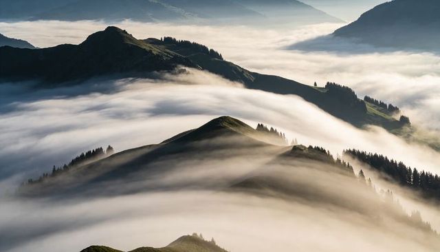 Rolling Fog Wrapping Alpine Ridges at Sunrise with Sunlit Slopes and Conifers