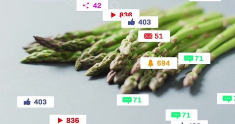 Asparagus and social media analytics fusion artwork