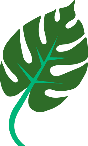 Stylized Monstera Leaf with Transparency Featuring Green and Teal Colors - Download Free Stock Videos Pikwizard.com