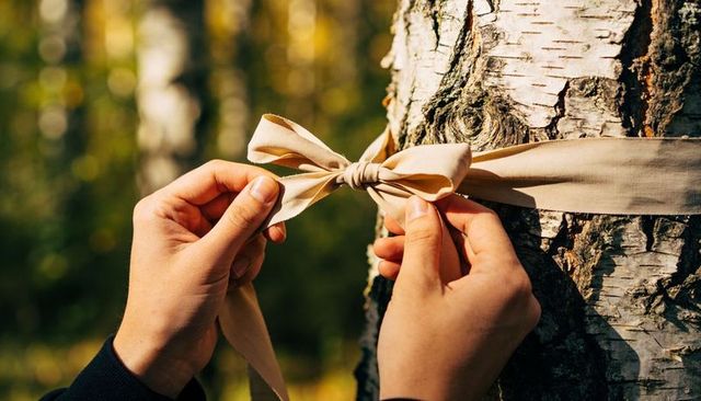 Hands tying beige ribbon around birch tree trunk in autumn forest closeup