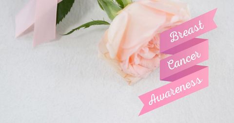 Breast Cancer Awareness Banner with White Rose Decor - Download Free Stock Images Pikwizard.com