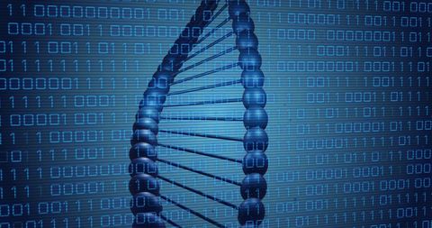 Dna and binary code fusion: seamless science and technology