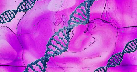Rotating dna strands over vivid pink background illustration