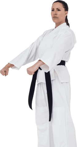 transparent karate stance practiced by female martial artist - Download Free Stock Videos Pikwizard.com