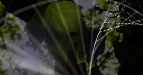 Dna structure overlay on sunlit leaves