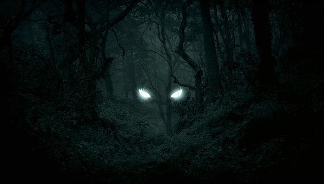 Eerie Glowing Eyes in Dark Mystical Forest Landscape