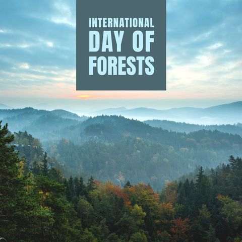 international day of forests celebration with scenic mountain landscape - Download Free Stock Templates Pikwizard.com