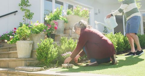 Senior Couple Gardening on Sunny Day with Potted Plants