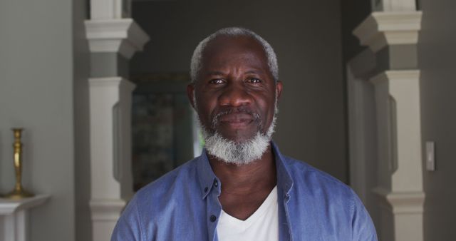 Confident Senior Man with Grey Beard and Blue Shirt at Home - Download Free Stock Images Pikwizard.com