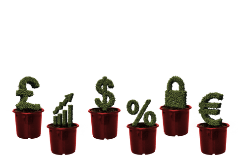 abstract green currency symbols on transparent background - Download Free Stock Videos Pikwizard.com