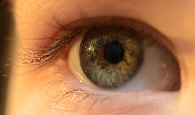 Close-up of a Human Brown Eye - Download Free Stock Photos Pikwizard.com